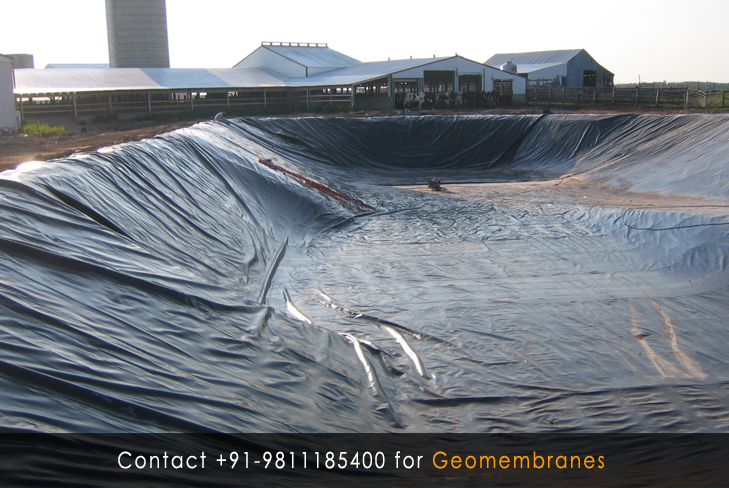 Geomembranes